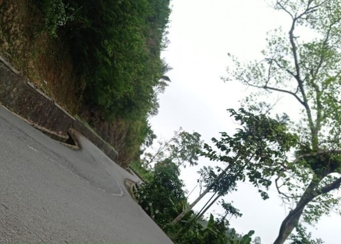 Misteri Tersembunyi Dibalik Jalur Tanjakan Penganten: Sebuah Kisah Angker yang Berdiam di Garut