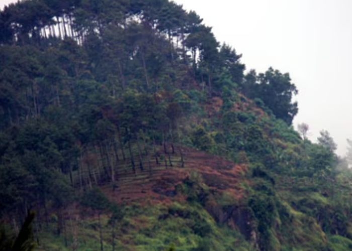 Tempat Angker di Trenggalek: Misteri Gunung Semungklung,Jejak Kelam di Balik Keindahan Alam