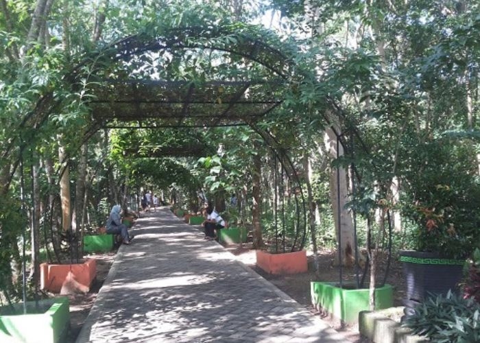 Mengunjungi Tempat Penuh Misteri di Trenggalek: Hutan Kota Trenggalek, Wisata Alam yang Menyimpan Rahasia Kelam