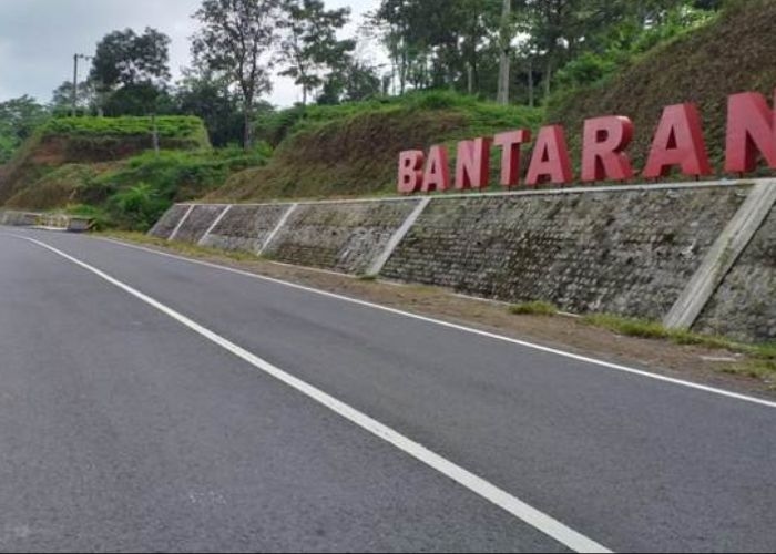 Menyingkap Tempat Misteri di Trenggalek: Jalan Gandusari, Legenda dan Kisah Horor yang Menyelimuti Jalur Angker