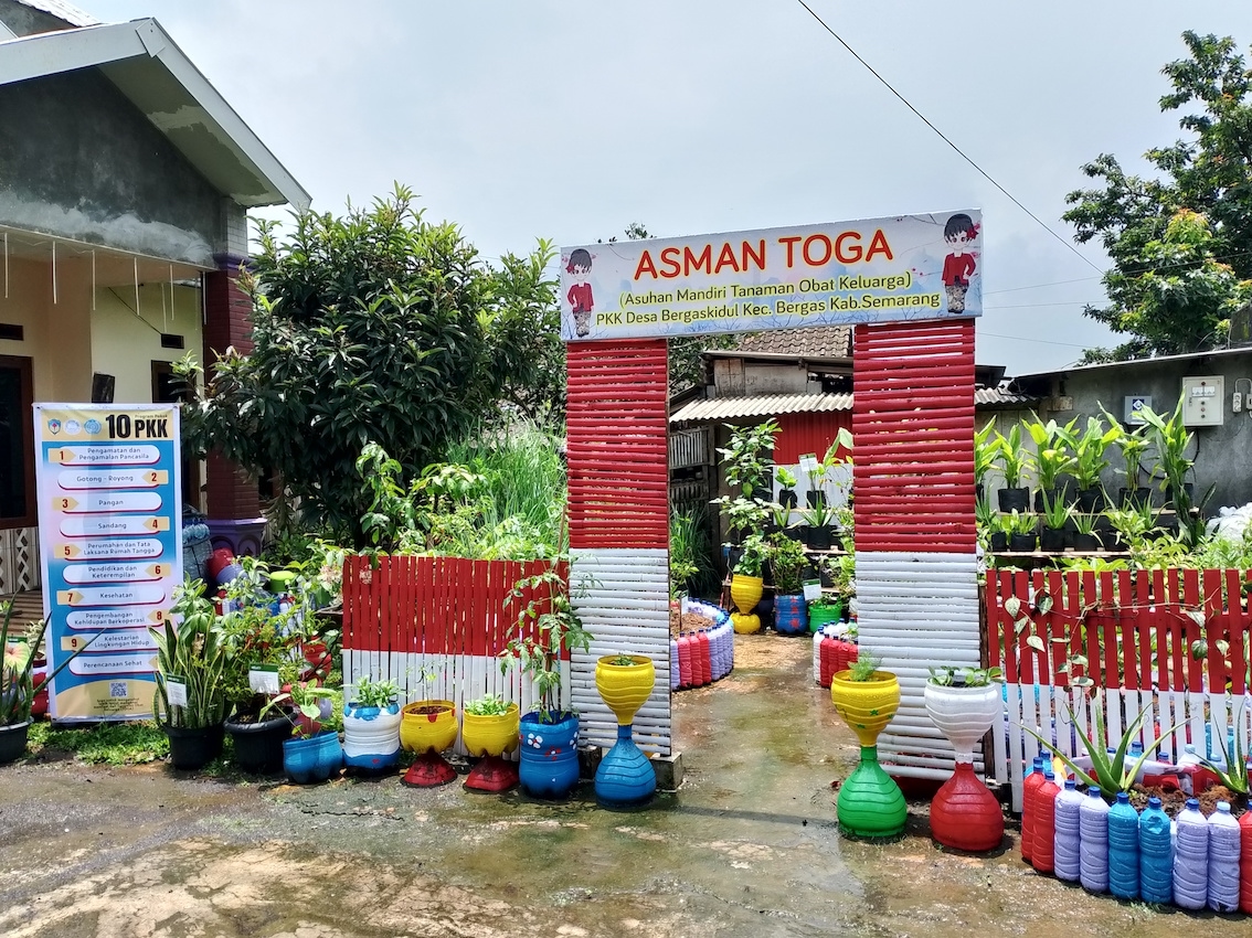 Memperbaiki dan Manfaatkan Taman TOGA Bersama Ibu-Ibu PKK, Inovasi Mahasiswa KKN UPGRIS di Desa Bergas Kidul