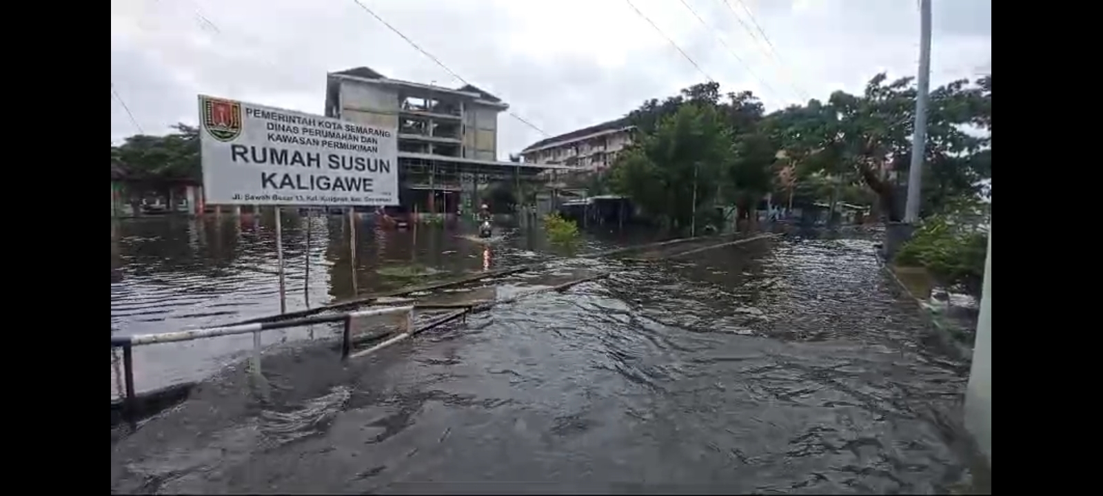 Hujan Seharian, Semarang Dikepung Banjir, Tanah Longsor dan Pohon Tumbang