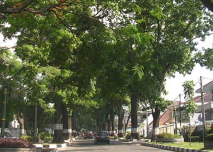 Penelusuran Jalan Angker di Indonesia: Misteri Jalan Cipaganti, Kisah Mitos Adanya Hantu Jawara Tanpa Kepala yang Membayangi