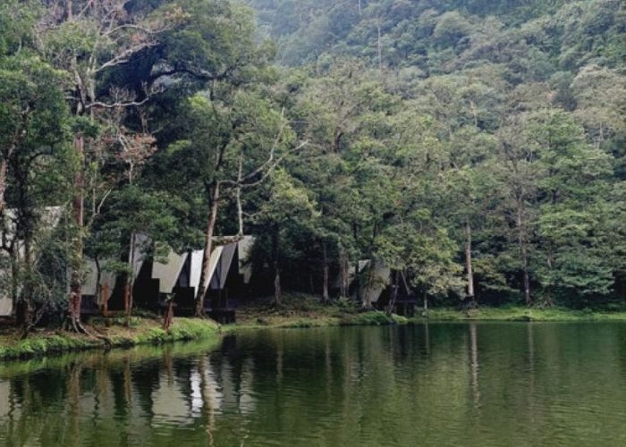 Menelusuri Misteri dan Mitos di Dataran Tinggi Dieng: Makhluk Penjaga Hutan Keramat di Sekitar Telaga Warna