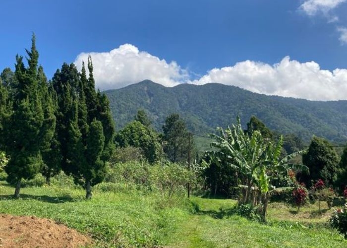 Kisah-kisah Misteri Dibalik Keindahan Alam Gunung Salak: Kisah Mistis Penambang Emas Ilegal dan Ritual yang Dilakukan