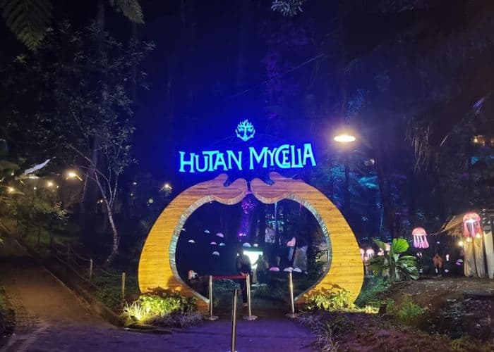 Mengulas Keunikan dari Hutan Mycelia: Destinasi Wisata Instagramable dan Edukatif di Lembang