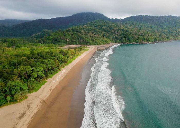 Mengulas Tempat Wisata Favorit di Indonesia: Menikmati Keindahan Alam Pantai Bandealit di Taman Nasional Meru Betiri Jember