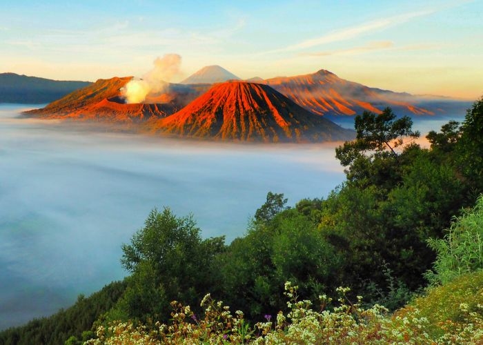 Menikmati Liburan dengan mengunjungi Spot Keren di Taman Nasional Bromo Tengger Semeru: Panduan Wisata Bagi Pemula