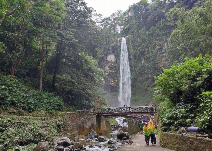 Keindahan Tersembunyi Grojogan Sewu: Air Terjun Bertingkat yang Bikin Kamu Takjub! Begini Sejarah, Harga Tiket dan Fasilitas
