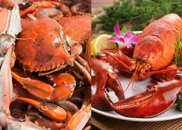 Pecinta Seafood Wajib Tahu! Ini Cara serta Tips Makan Kepiting serta Lobster Agar Mendapatkan Daging yang Banyak dan Tidak Berantakan!
