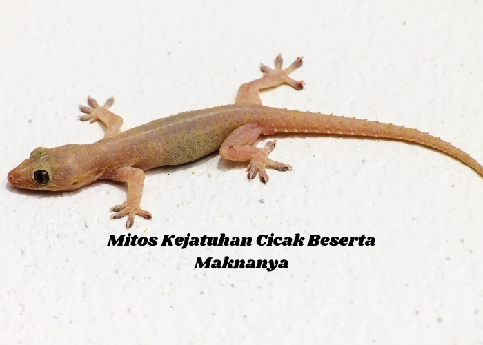 Mengulik Mitos serta Makna di Balik Kejatuhan Cicak yang Sudah Melegenda: Apakah Ada Pertanda Baik atau Buruk?