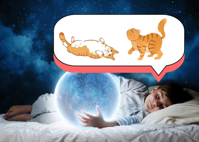 Mengungkap Makna Mimpi Kucing Oren: Mengungkap Sebuah Pertanda dan Pesan yang Tersembunyi