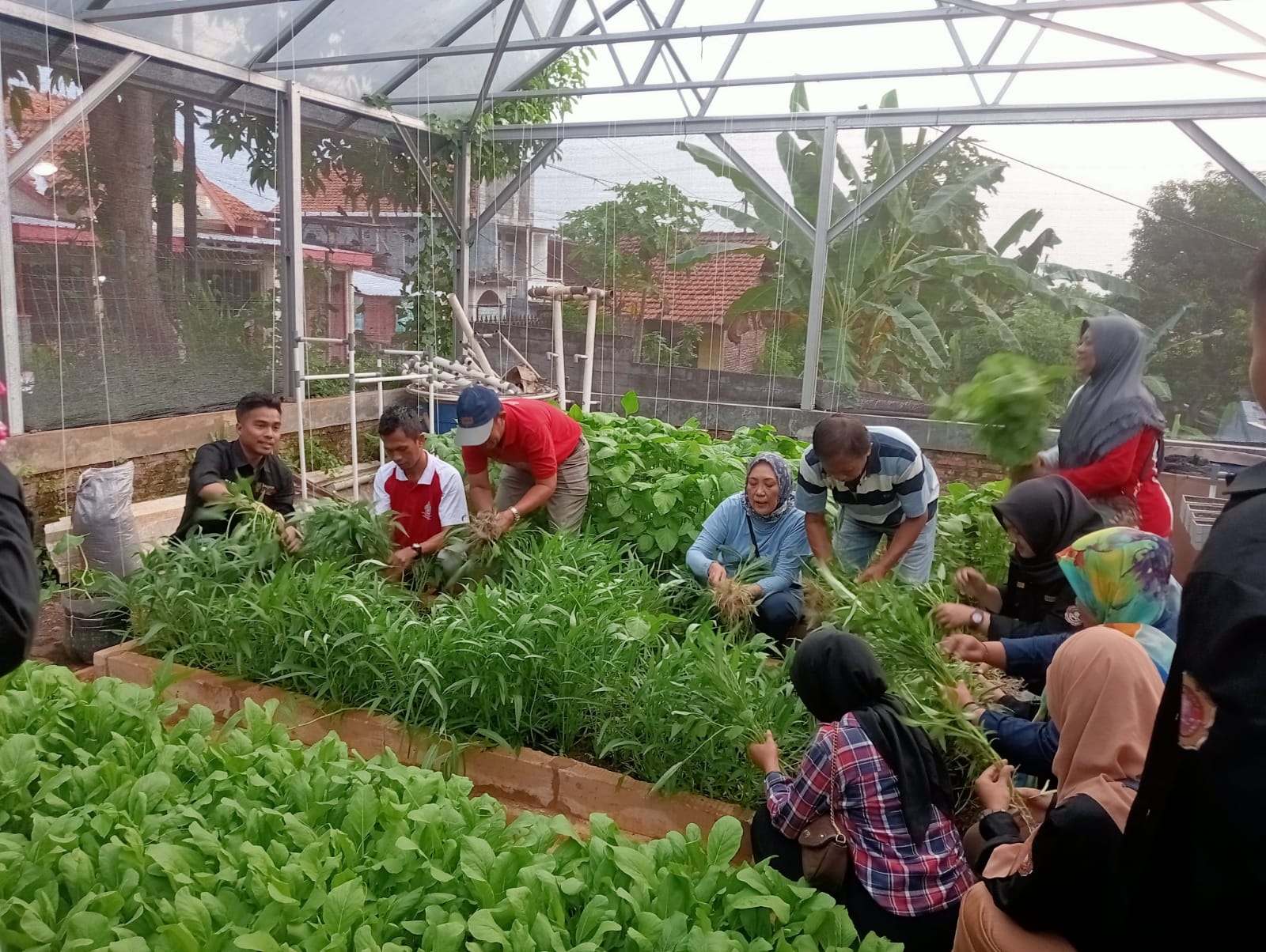 Pemkot Semarang Dorong Pemanfaatan Lahan Tidur untuk Urban Farming, Mbak Ita: Jaga Ketahanan Pangan