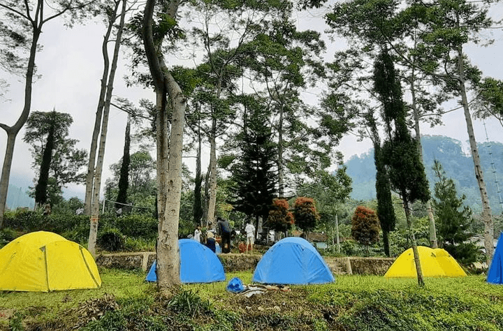 Rekomendasi 4 Titik Wisata Surga Tersembunyi di Kabupaten Kendal, Ada Kebun Teh dengan Area Camping