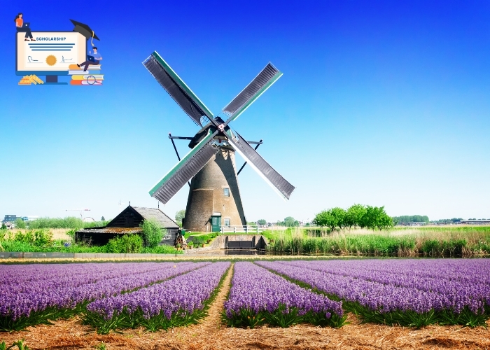 Punya Cita-Cita Kuliah di Belanda? Daftar Beasiswa Berikut Ini Bisa Membuatmu Mengeluarkan 0 Rupiah Alias Gratis!