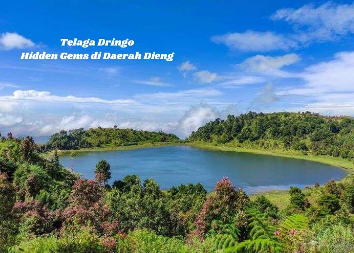 Bosan dengan Destinasi Wisata Dieng yang Itu-itu Saja? Coba Jelajahi Telaga Dringo! Hidden Gems yangMenyegarkan Mata dan Jiwa