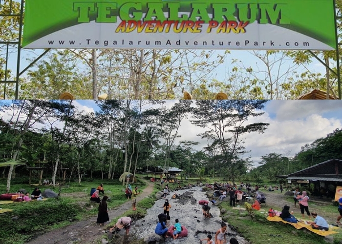 Wisata keluarga yang Anti Mainstream, 6 Tempat Outbond di Jogja Ini Penuh Sensasi dan Tantangan! Cocok Mengisi Waktu Liburan Sekolah (Bagian 1)