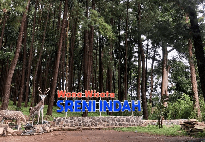 Tak Cuma Pantai Saja, Ini 6 Spot Wisata Surga Tersembunyi di Kabupaten Jepara