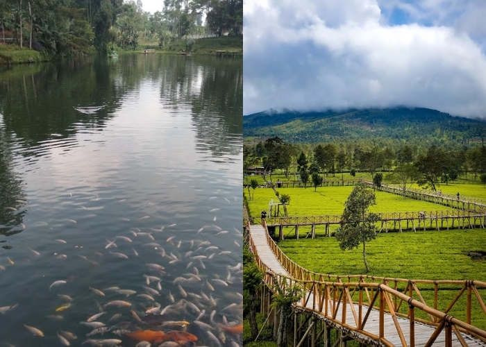 Menemukan Kedamaian di Antara Keindahan Wisata Alam Wonosobo: Liburan Healing yang Sempurna Melepas Penat Setelah Bekerja
