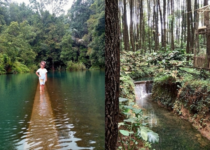 Liburan Hemat tapi Memuaskan? Kunjungi Saja Sukorejo Kendal! Berikut 7 Rekomendasi Wisata Hits Disana, Cocok Buat Wisata Keluarga