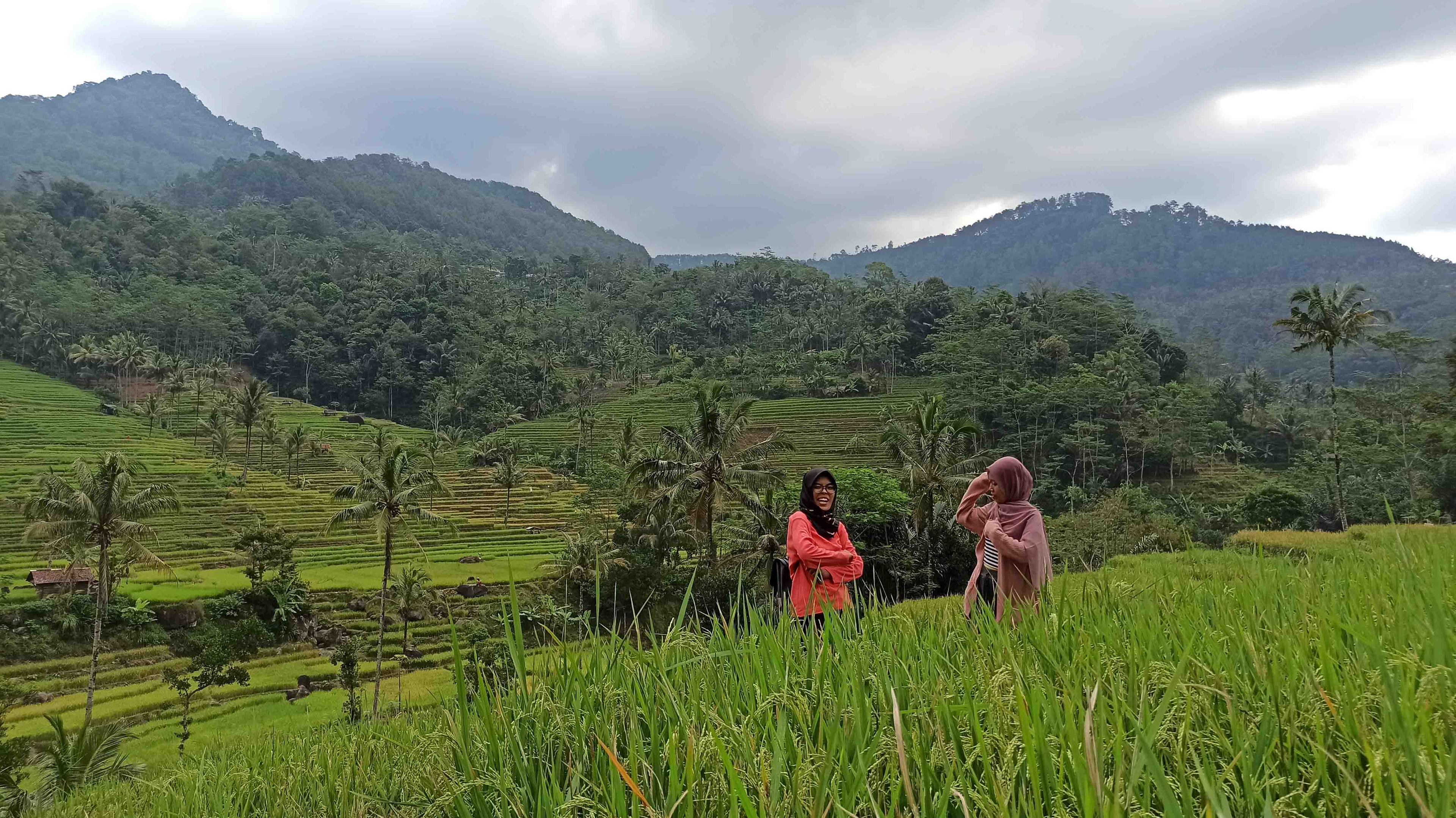 Hidden Gem Wisata Alam Tersembunyi di Kecamatan Lebak Barang Pekalongan, Bak Ubud Bali di Jateng Lengkap View Sawah hingga Air Terjun!