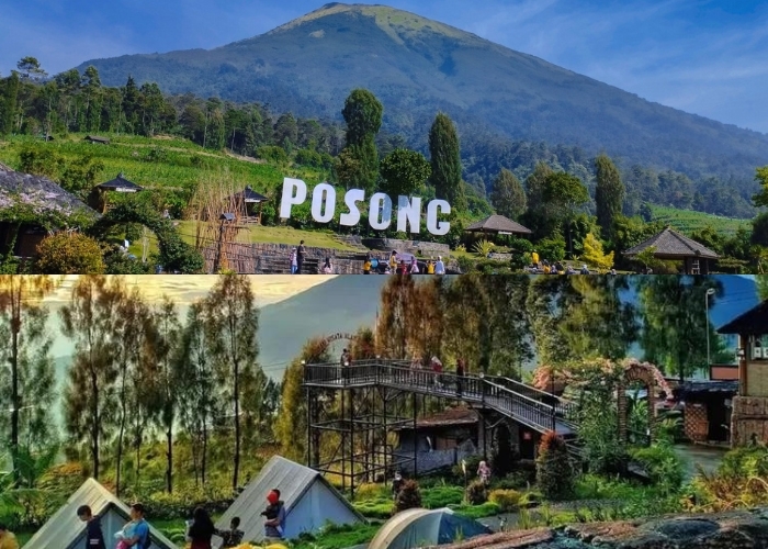 TERSEMBUNYI DI TEMANGGUNG! Temukan Keindahan Wisata Alam Posong dan Saksikan Golden Sunrise yang Spektakuler