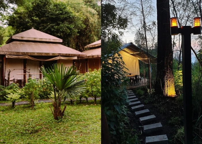 Sensasi Liburan Tak Terlupakan di Banyuwangi! 5 Glamping Hits Ini Wajib Kamu Coba di Tahun 2024!