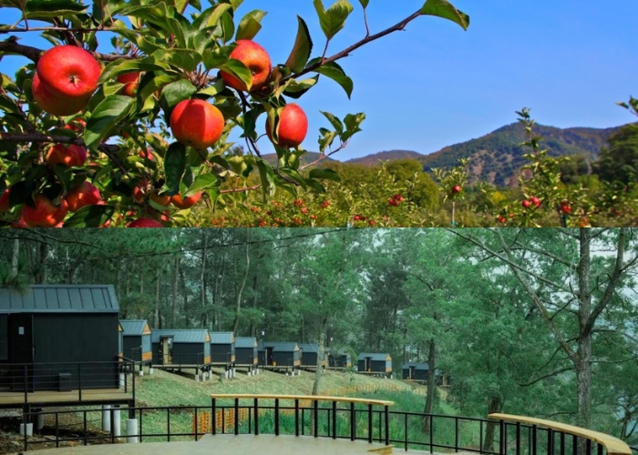 Lebih dari Sekedar Pemandangan Indah! 7 Tempat Bulan Madu di Malang yang Menyimpan Atmosfer Romantis! Buat Pasangan Jadi Makin Lengket