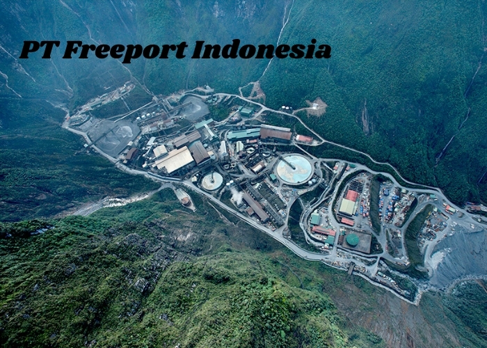 Gaji Fantastis Menanti Dimasa Depan! Intip Peluang Karir Menarik di Lowongan Kerja Freeport Terbaru! Batas Lowongan 11 Juli 2024, Buruan Daftar