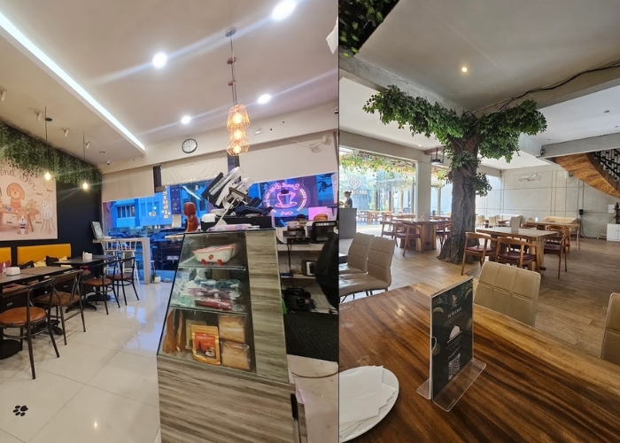 Pecinta Hewan Wajib Tahu! 4 Cafe Pets Friendly di Surabaya Buat Nongkrong Bareng Anabul! Jadi Tetap Aman Bawa Hewan Peliharaanmu