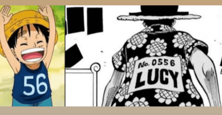 Teori One Piece: Oda Sensei Bongkar Rahasia Kenapa Selalu Ada Angka 56 di Kostum Luffy