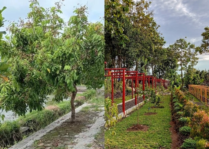 Soloraya Agrowisata Hits! Jelajahi 4 Destinasi Wisata Alam yang Menakjubkan dan Menyenangkan, Cocok Buat Lokasi Healing! Dekat dari Semarang dan Jogja