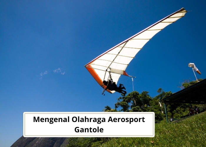 Fakta dan Sejarah Vibes! Yuk Kita Mengenal Sekilas Olahraga Gantole, Olahraga Aerosport Dalam Piala Telomoyo dan PON Aceh Sumut 2024