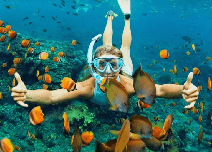 Tak Perlu Nyebrang ke Karimunjawa, Ini 5 Lokasi Wisata Snorkeling di Area Kabupaten Jepara