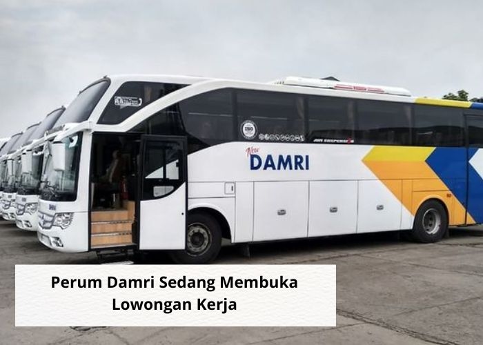 Loker Vibes! Ingin Jadi Bagian dari Transportasi Umum Negara? Gabung dengan Perum Damri! Berikut Kualifikasi Selengkapnya