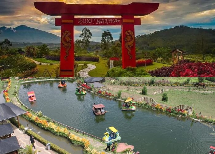 Wisata Viral Vibes! 4 Destinasi Unik dan Menarik di Desa Wisata Pujon Kidul, Malang yang Sayang Buat Dilewatkan