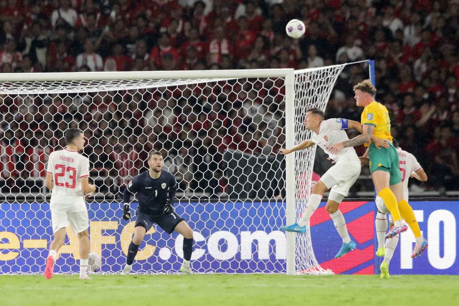 Socceroos Incar Tiga Poin Lawan Indonesia, Popovic: Kami Harus Tampil Fantastis!