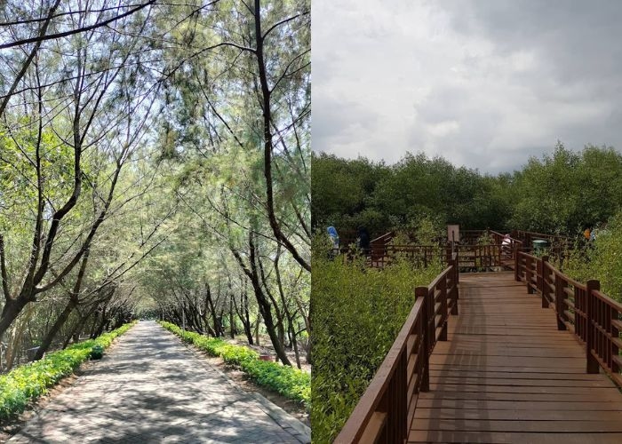 Jawa Timur Vibes! Kebun Raya Mangrove Gunung Anyar Surabaya, Sebuah Wisata Edukatif dengan Keindahan Alam yang Bisa Jadi Pilihan Refreshing