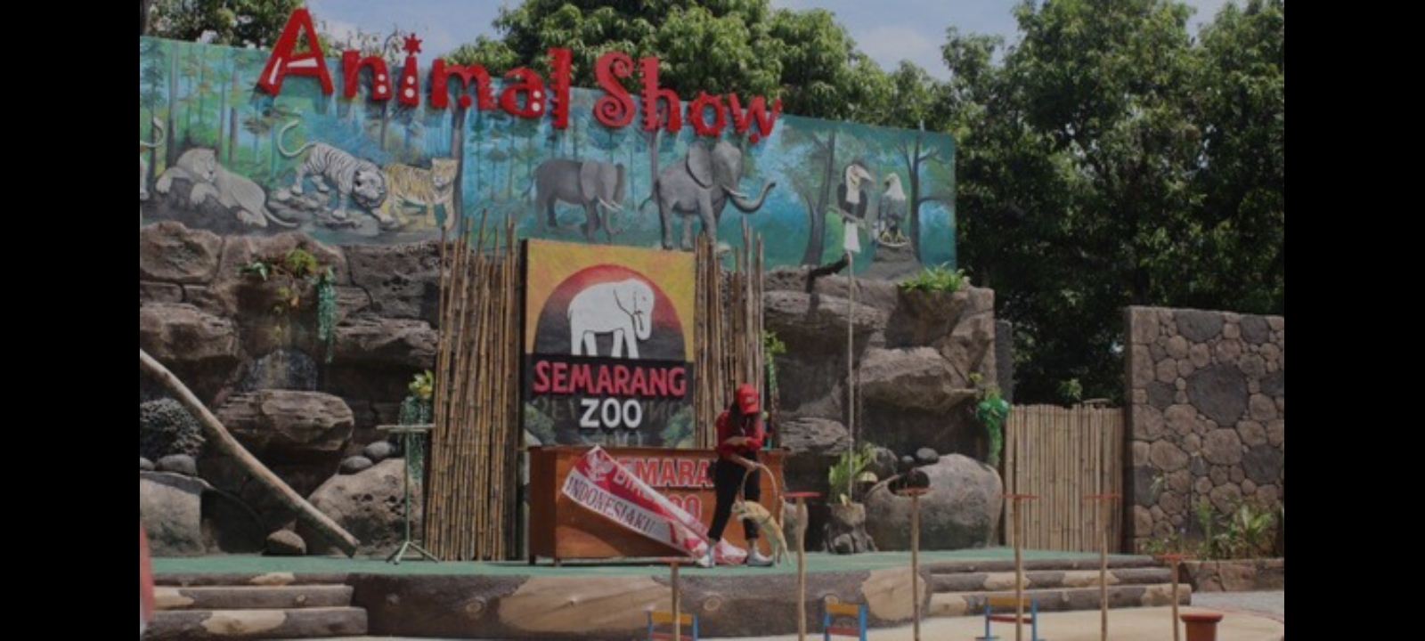Semarang Zoo: Wisata Edukatif Kebun Binatang di Semarang, Saksikan Keseruan Pertunjukkan Animal Show