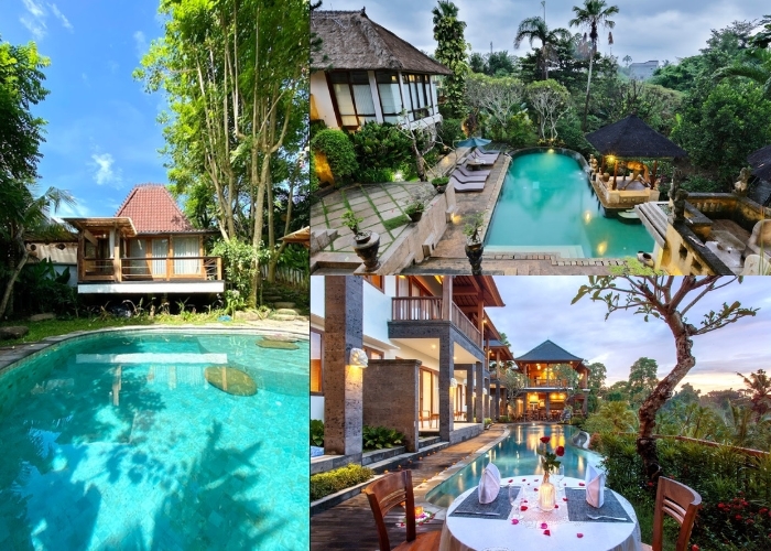 Bali Vibes! Liburan Seru ke Bali Bird Park: 4 Pilihan Akomodasi Nyaman dan Dekat untuk Pengalaman Menginap Terbaik