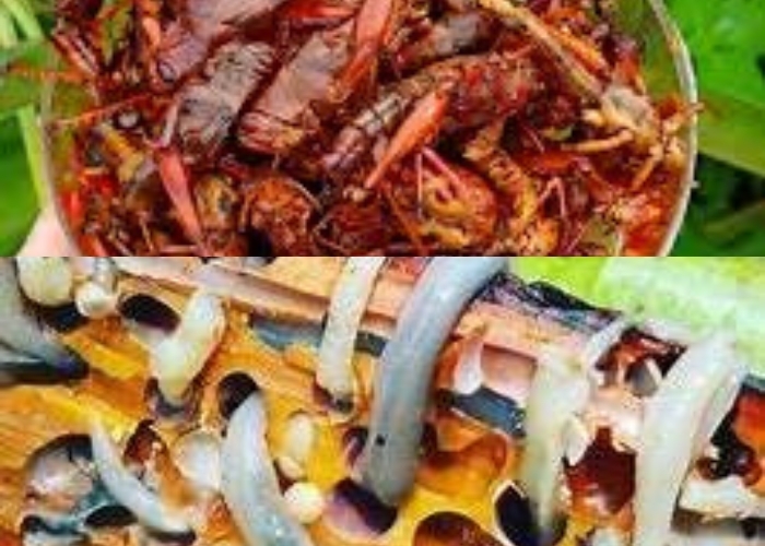 Indonesia Vibes! Rekomendasi 4 Kuliner Ekstrem Nusantara: Berani Coba? Sensasi Hidangan Tak Biasa dari Belalang Goreng hingga Otak Monyet
