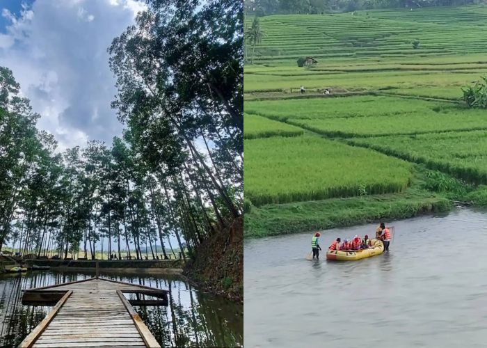 Lampung Vibes! Menikmati Suasana Alam di Lembah Akasia di Pringsewu: Destinasi Wisata Asri dengan Aktivitas Seru untuk Semua Kalangan
