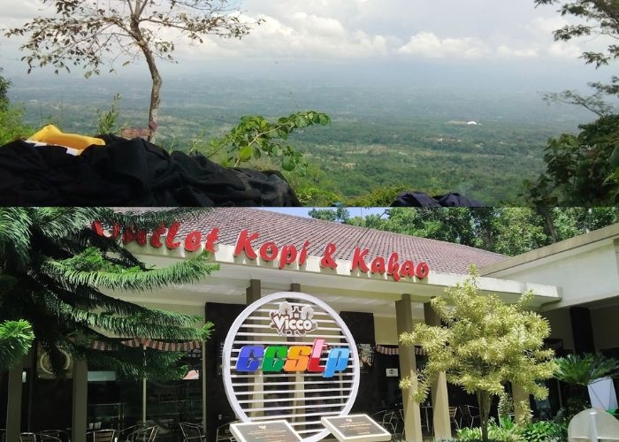 Jatim Vibes! Rekomendasi 6 Wisata Seru dan Murah Meriah di Jember: Keindahan dan Serunya Liburan Tanpa Menguras Kantong