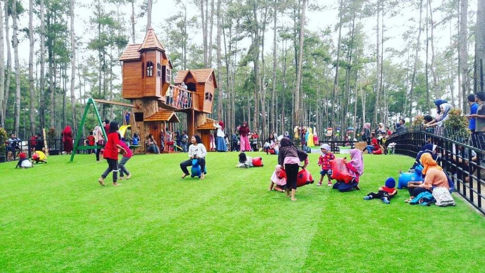 Menjelajahi Pesona Kemit Forest Education: Wisata Keluarga Seru di Tengah Hutan Pinus Cilacap