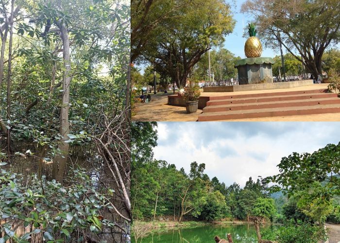 Jateng Vibes! Nggak Perlu Rogoh Kocek Dalam-Dalam, 4 Tempat Wisata di Pemalang Ini Gratis! Liburan Seru Tanpa Takut Menguras Kantong