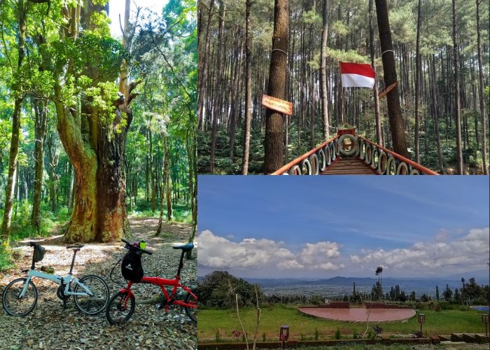 Jateng Vibes! Temanggung Lebih dari Sekedar Kota Tembakau: Deretan 6 Surga Wisata yang Belum Banyak Orang Tahu