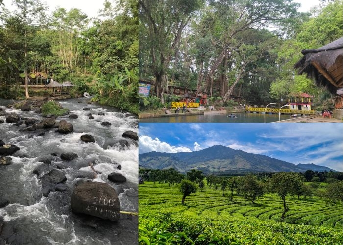 Jatim Vibes! Liburan Natal dan Tahun Baru 2025 di Malang? 6 Destinasi Wisata Alam Ini Bikin Keluarga Betah Seharian!
