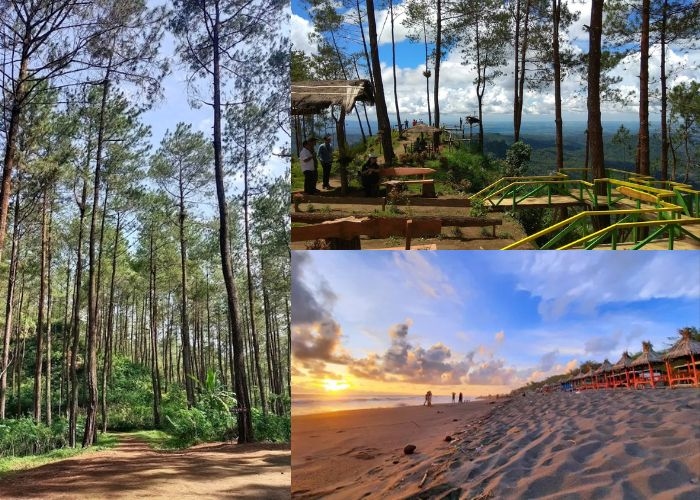 Jateng Vibes! Lebih dari Sekadar Tetangga Jogja, Purworejo Punya 6 Tempat Wisata Istimewa yang Wajib Kamu Kunjungi Saat Libur Natal dan Tahun Baru!