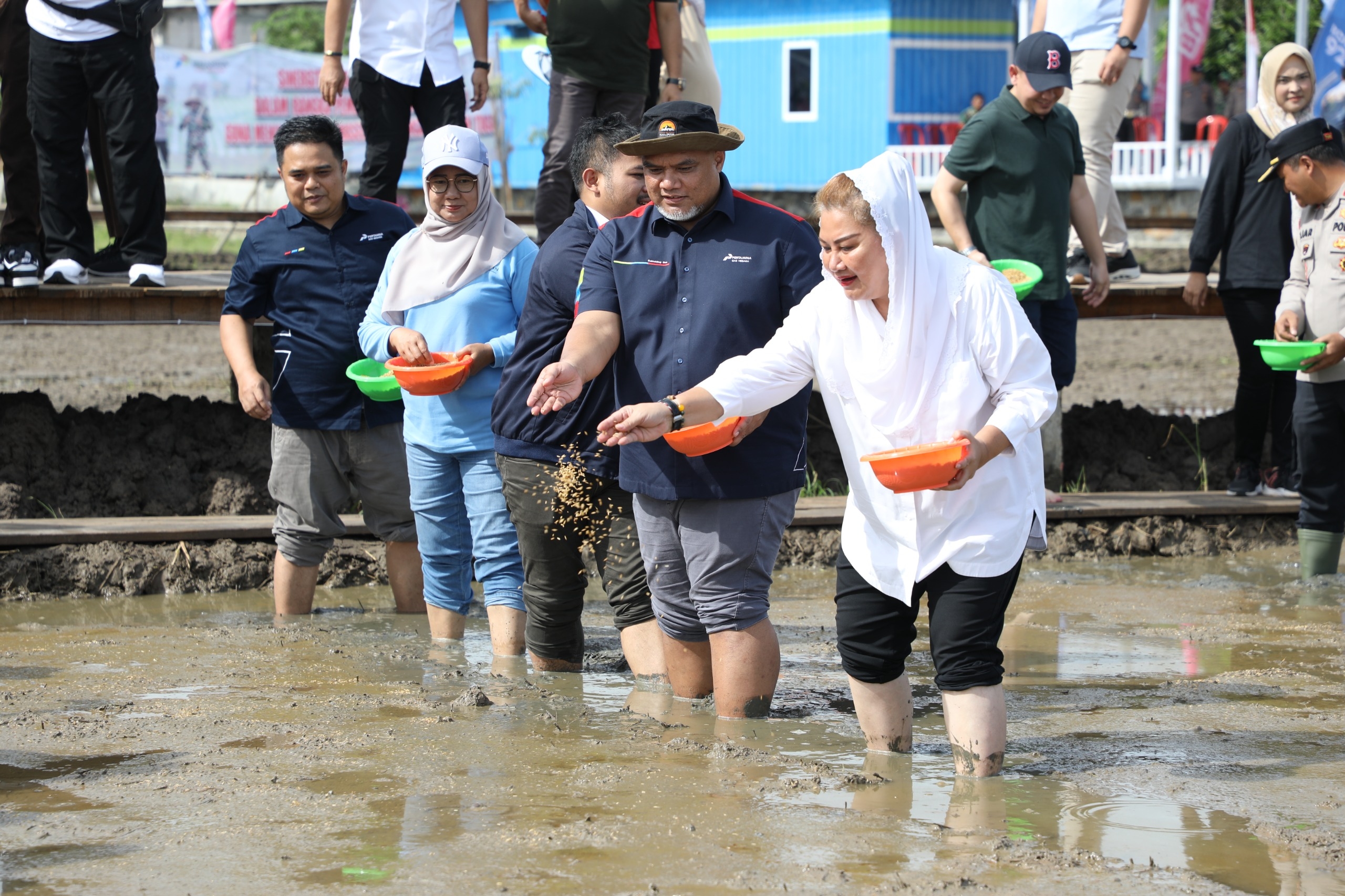 BRIN Apresiasi Pemkot Semarang dan PGN Cetak Sawah 20 Hektare Budidaya Padi Biosalin di Pesisir