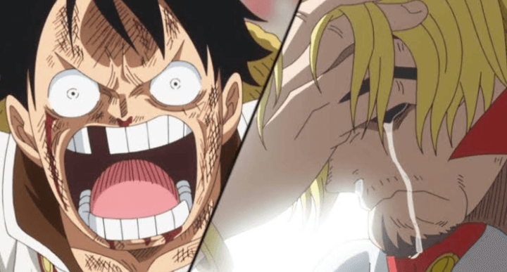 Trivia One Piece: 4 Kru Mugiwara yang Pernah Berantem dengan Luffy Sang Kapten